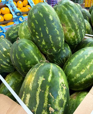 Foto Bins di Angurie Vendibili anche Singolarmente Origine Mauritania  Marchio Moragues    2